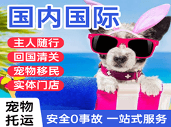 济宁大安航空托运国际宠物托运 【国